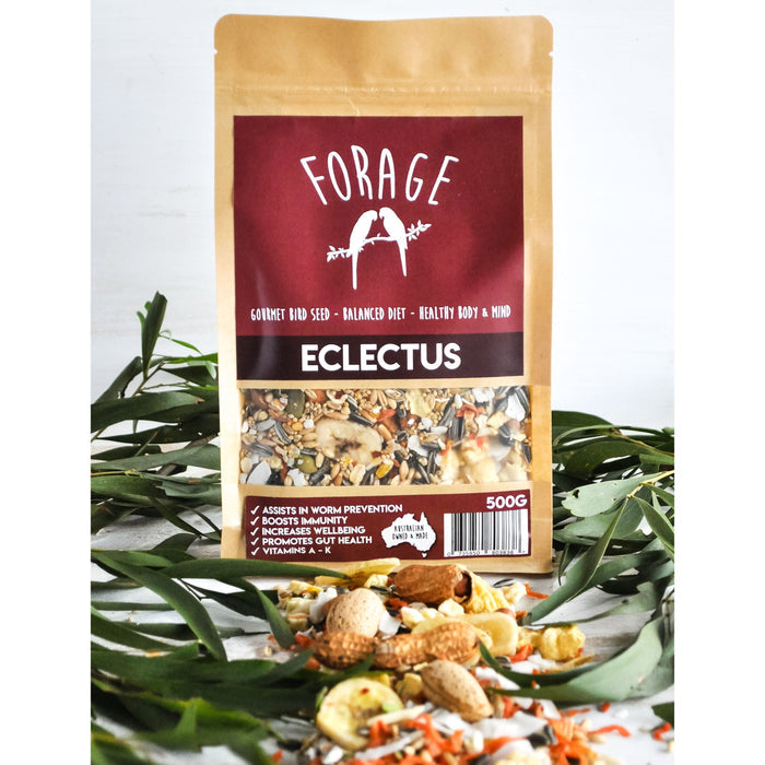 Forage Eclectus Gourmet Bird Seed 500g-Habitat Pet Supplies