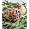 Forage Large Pine Cone Parrot Treat-Habitat Pet Supplies