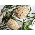 Forage Large Pine Cone Small Bird Treat-Habitat Pet Supplies