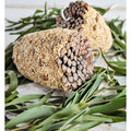 Forage Small Pine Cone Small Bird Treat-Habitat Pet Supplies