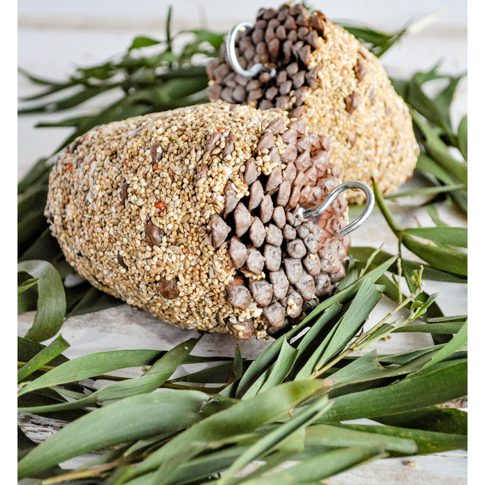 Forage Small Pine Cone Small Bird Treat-Habitat Pet Supplies