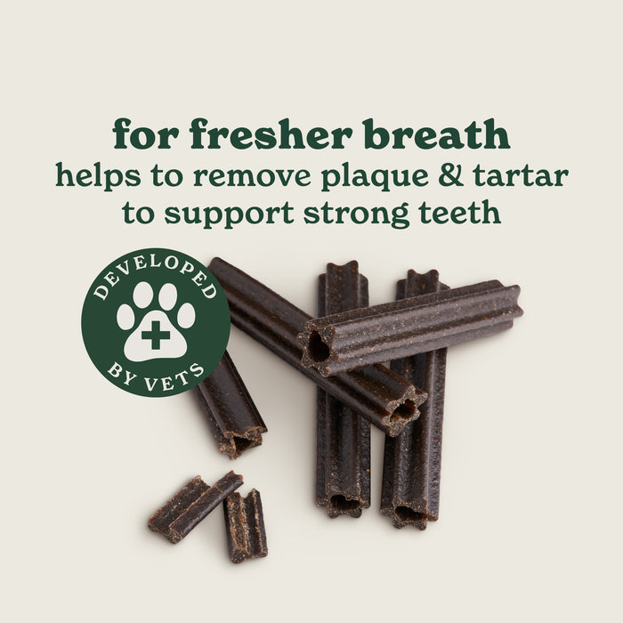 Forthglade Dog Food Taster Pack
