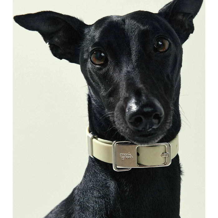 frank green Midnight Dog Collar and Tag Small
