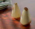 Frankoma Westwind Desert Sand Salt and Pepper Shakers - Lollygag