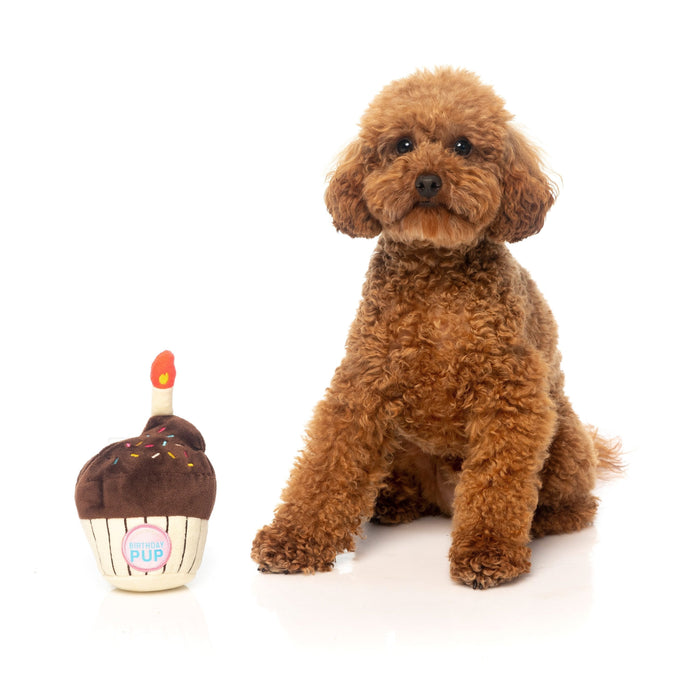 FuzzYard Dog Toy Birthday Cupcake