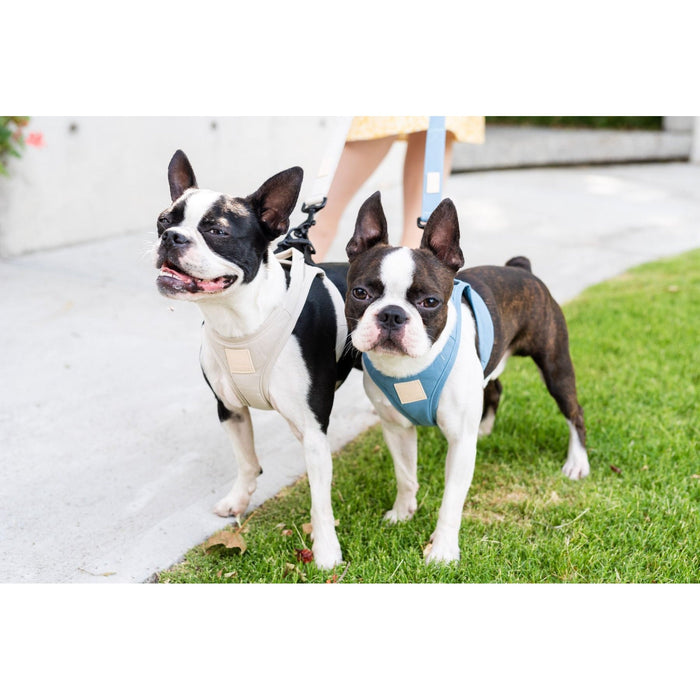 FuzzYard Life Step In Dog Harness French Blue Large