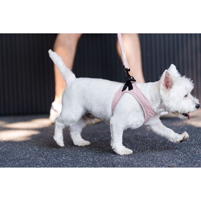 FuzzYard Life Step In Dog Harness Soft Blush Extra Extra Small