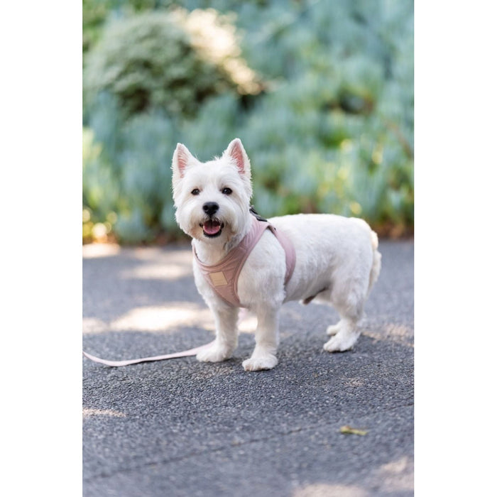 FuzzYard Life Step In Dog Harness Soft Blush Extra Large