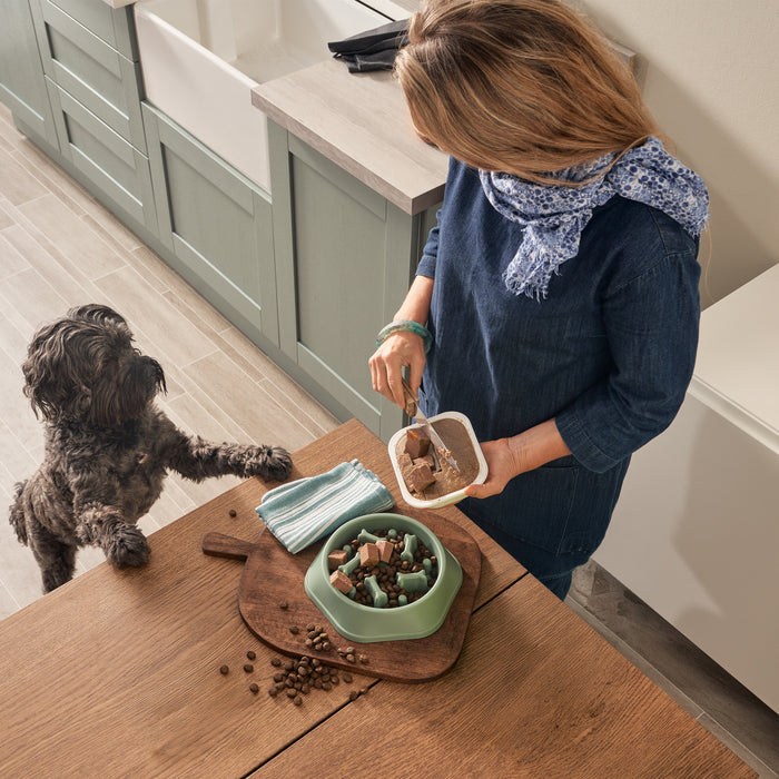 Grain Free Turkey Dog Food Mixed Bundle (1 x 6kg + 18 x 395g)
