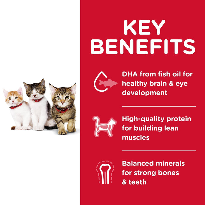 Hills Science Diet Kitten Dry Cat Food 1.58kg
