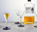 "Hollywood" Deco Apéritif/Cordial Glasses in Midnight Blue: Set of 5 Deco - lollygag