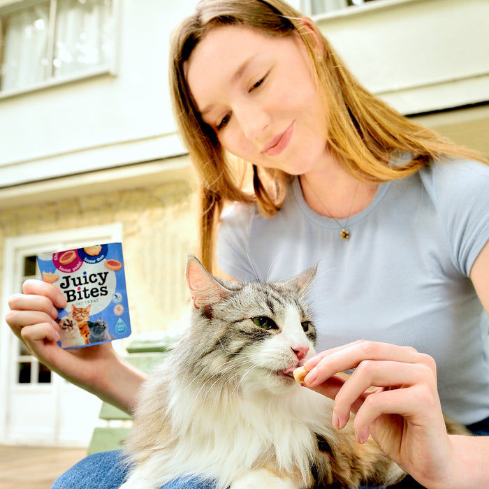 Inaba Juicy Bites Shrimp and Seafood Mix Cat Treats 34g x 6