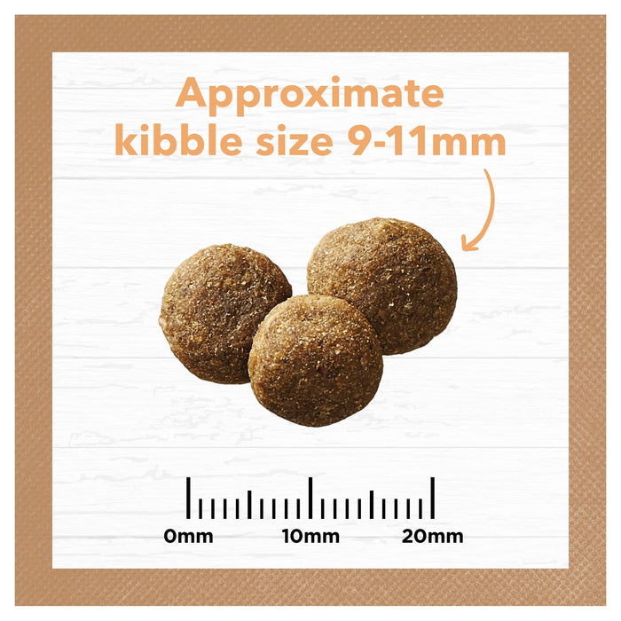Ivory Coat Grain Free Chicken Puppy Dry Food 13kg