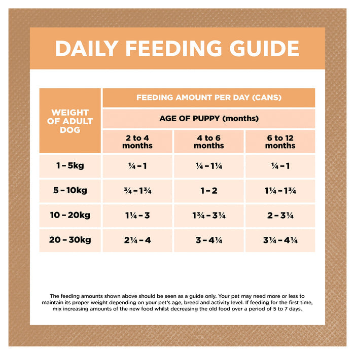 Ivory Coat Grain Free Chicken Stew Puppy Wet Food 400g x 12