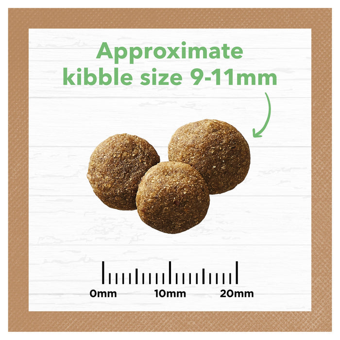 Ivory Coat Grain Free Lamb Large Breed Puppy Dry Food 13kg