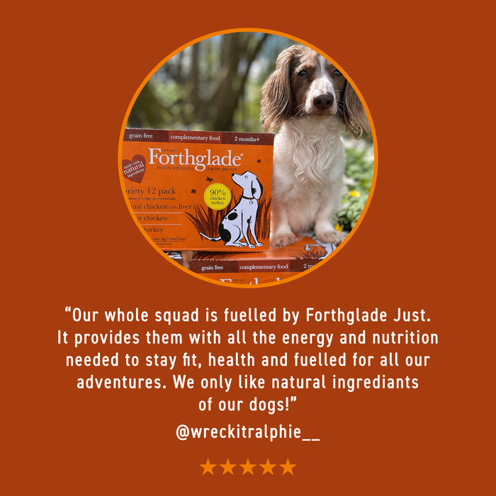 Just Lamb Complementary Wet Dog Food