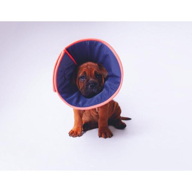 Kazoo Comfy Soft Vet Collar Size 2 Medium