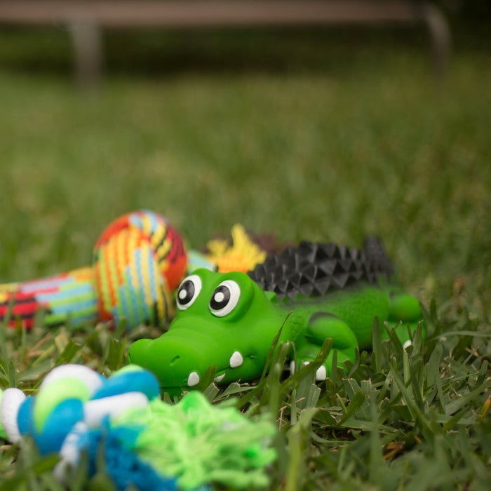 Kazoo Cool Crocodile Large Dog Toy