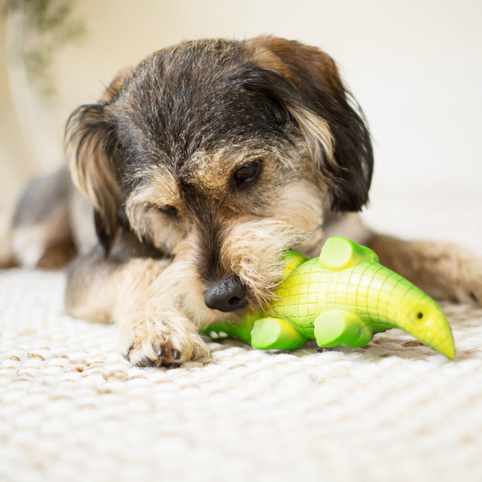 Kazoo Cool Crocodile Large Dog Toy