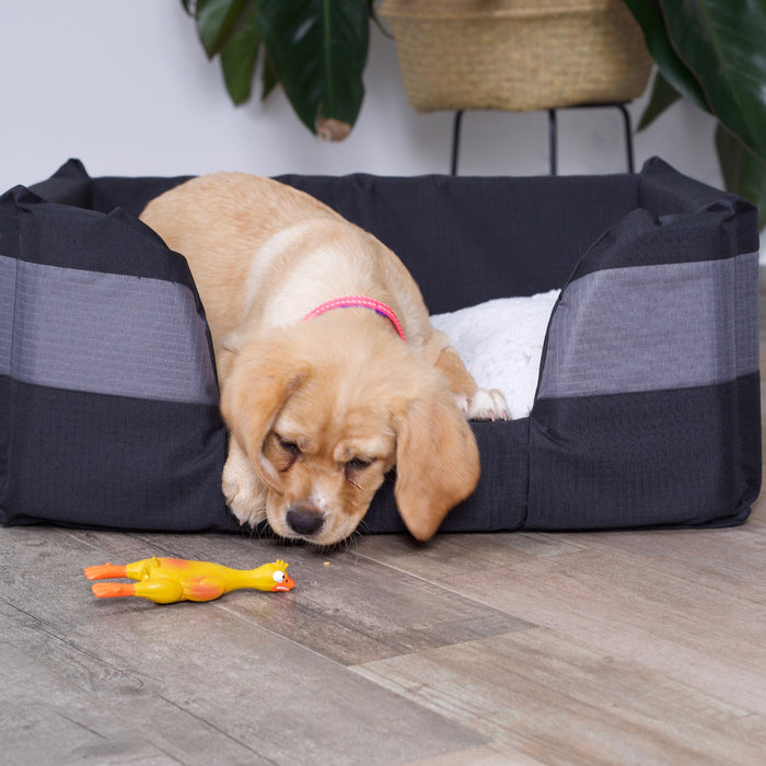 Kazoo Dozy Duck Large Dog Toy