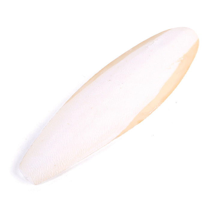 Kazoo Natural Cuttlebone Large-Habitat Pet Supplies