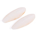 Kazoo Natural Cuttlebones Medium 2 Pack-Habitat Pet Supplies