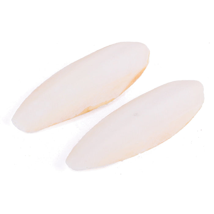 Kazoo Natural Cuttlebones Medium 2 Pack-Habitat Pet Supplies