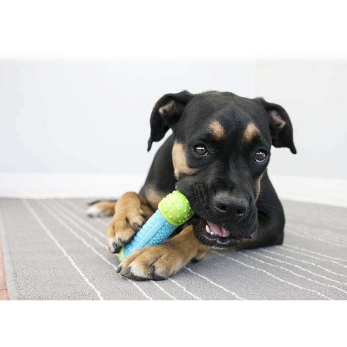 KONG CORESTRENGTH BONE MEDIUM/LARGE - Habitat Pet Supplies Altona & Chirnside Park
