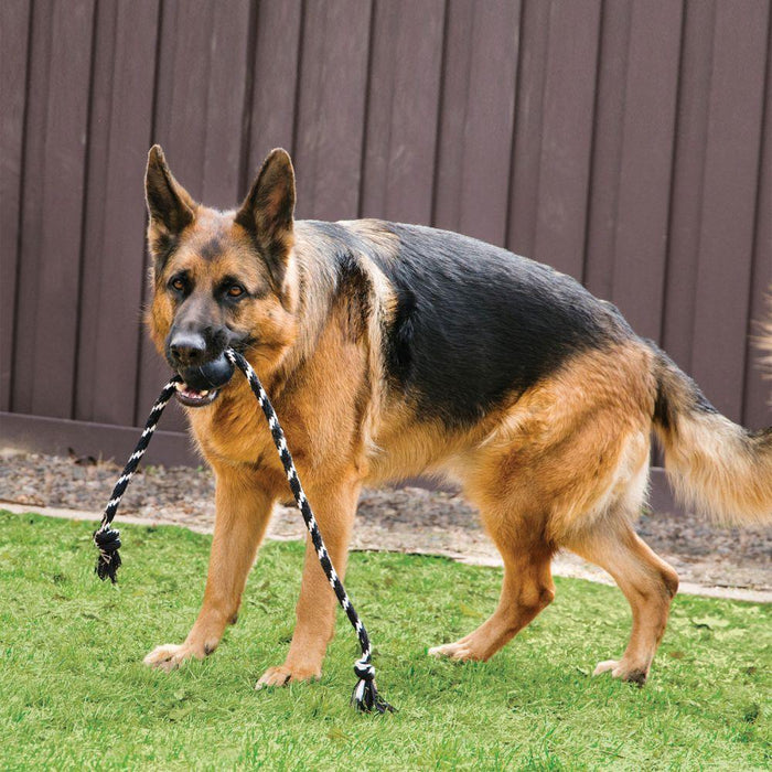 KONG Dog Extreme Ball with Rope Large