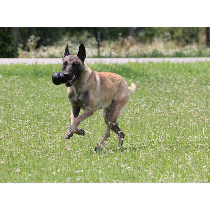 KONG EXTREME EXTRA LARGE - Habitat Pet Supplies Altona & Chirnside Park