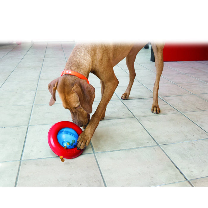 KONG GYRO LARGE - Habitat Pet Supplies Altona & Chirnside Park