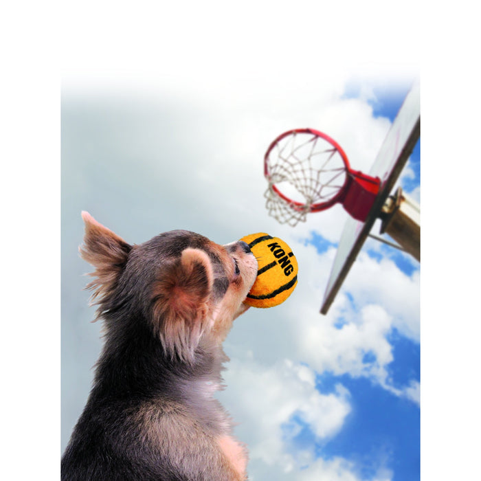 KONG SPORTS BALLS MEDIUM 3PK - Habitat Pet Supplies Altona & Chirnside Park