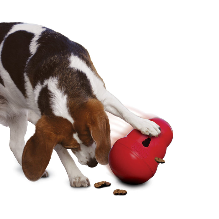 KONG WOBBLER SMALL - Habitat Pet Supplies Altona & Chirnside Park
