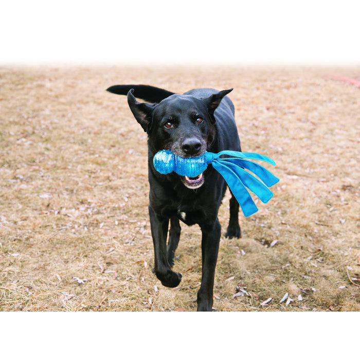 KONG Wubba Comet Large Dog Toy