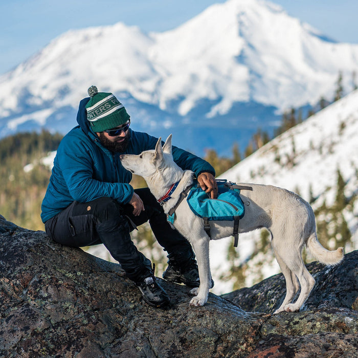 Kurgo Big Baxter Dog Pack