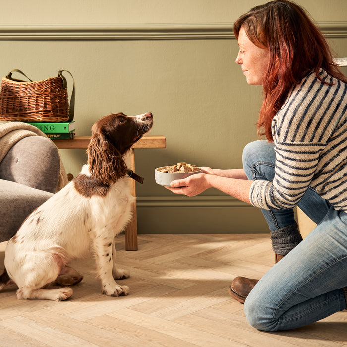 Lamb & Turkey Wet Dog Food + Lightly Baked Lamb Bundle (1 x 6kg + 12 x 395g)