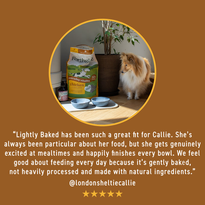 Lamb & Turkey Wet Dog Food + Lightly Baked Lamb Bundle (1 x 6kg + 12 x 395g)