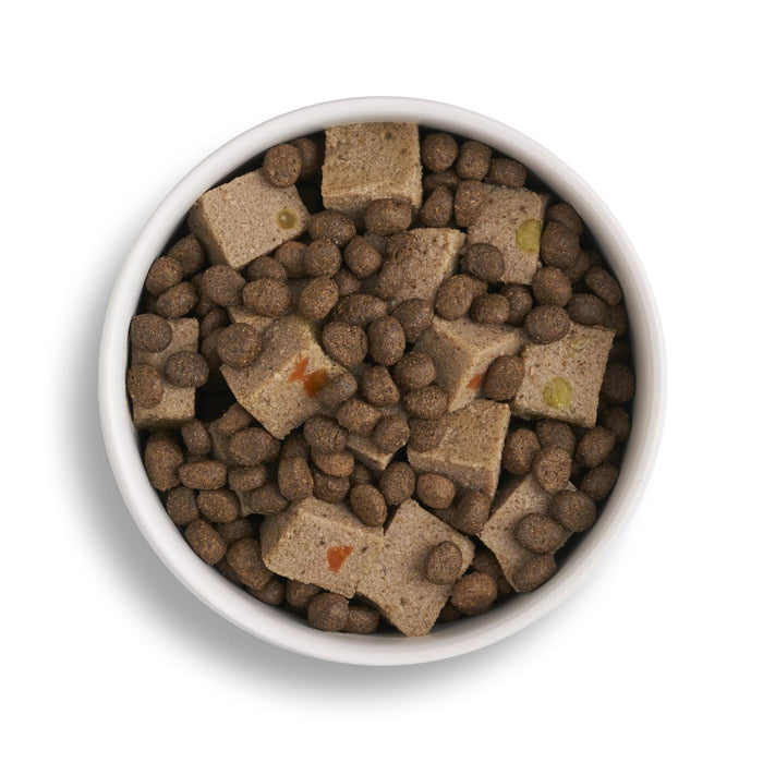 Lamb & Turkey Wet Dog Food + Lightly Baked Turkey Bundle (1 x 6kg + 12 x 395g)