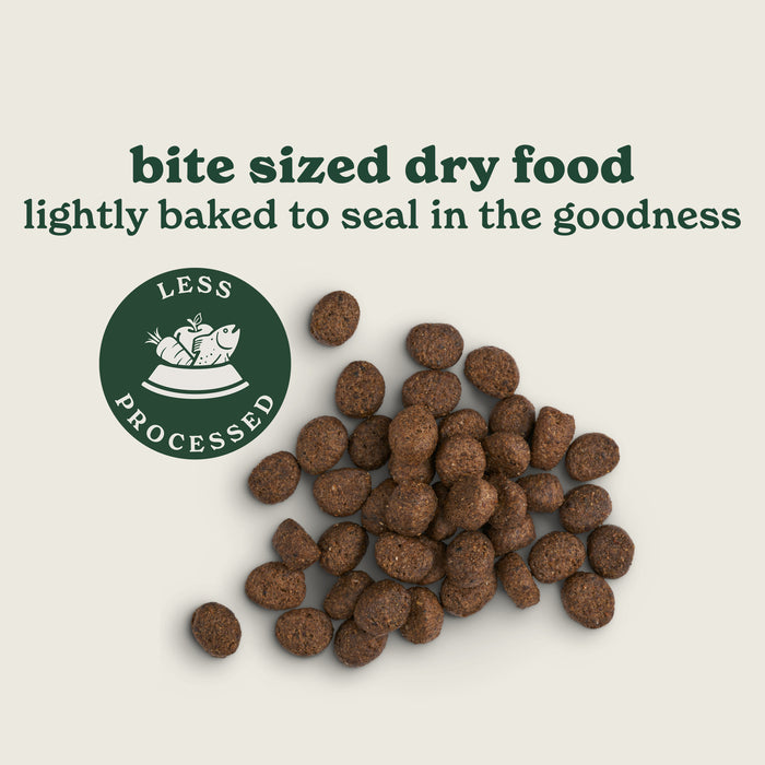 Lightly Baked Lamb Dry Dog Food
