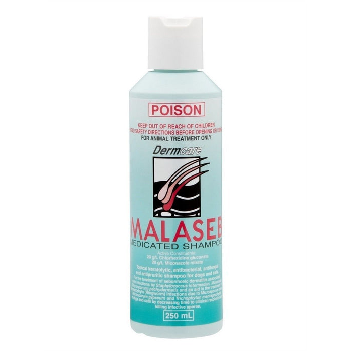 Malaseb Medicated Foam 250ml-Habitat Pet Supplies