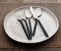 Blue Pheasant Marcus White Salt Dinner Plate Set - Lollygag