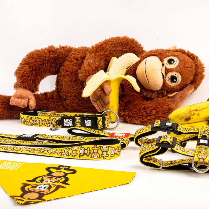 Max & Molly Monkey Maniac Smart ID Dog Collar Small