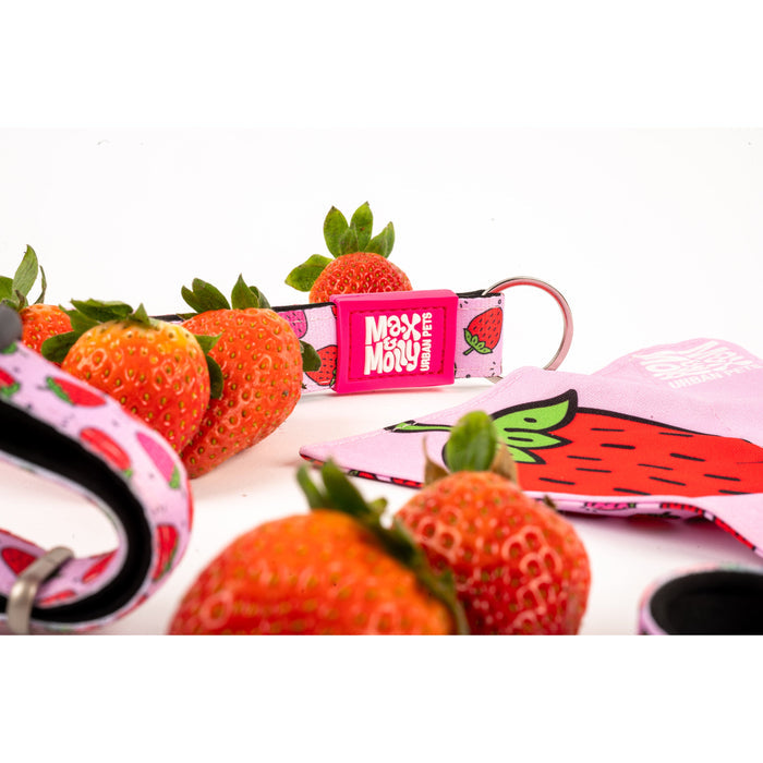 Max & Molly Strawberry Dream Smart ID Dog Collar Extra Small