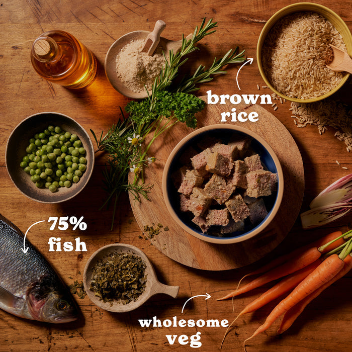 Ocean Fish & Brown Rice Wet Dog Food
