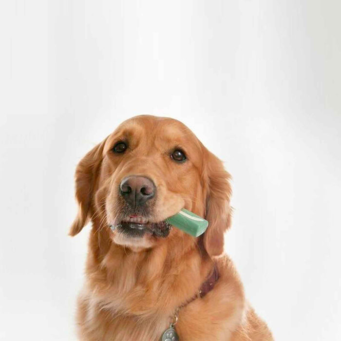 OraVet Dental Hygiene Chews for Large Dogs 14 Pack