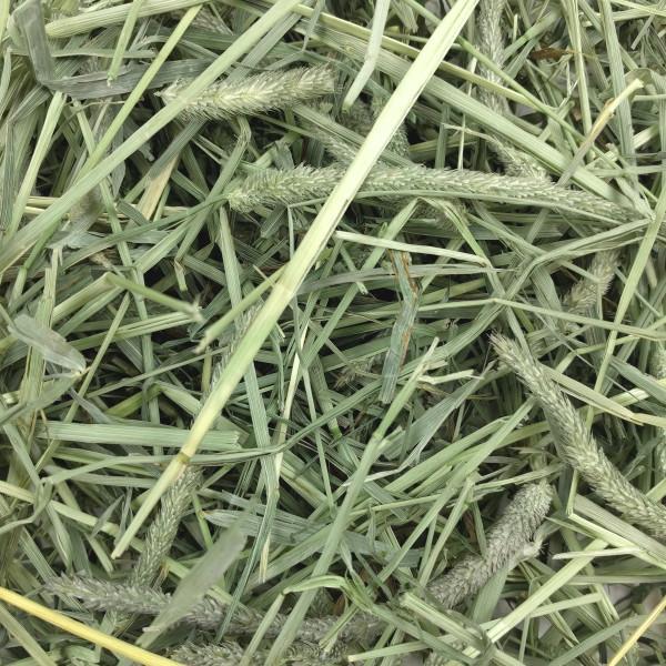 Oxbow Western Timothy Hay 1.13kg