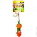 Pet One Veggie Wood Chew Carrot Carousel Small Animal Toy-Habitat Pet Supplies
