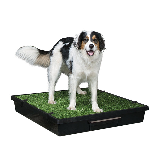 PetSafe The Pet Loo Large Portable Toilet for Dogs-Habitat Pet Supplies