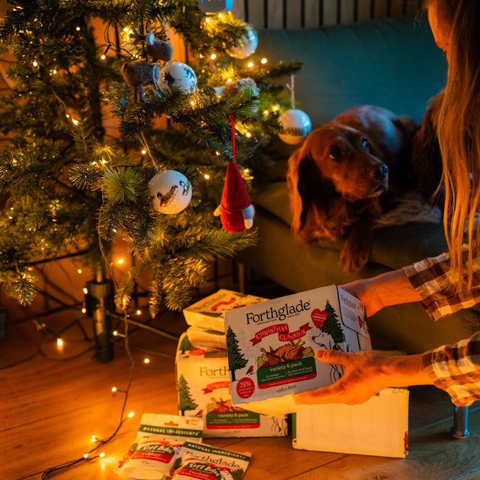Pre Order - Mega Christmas Box