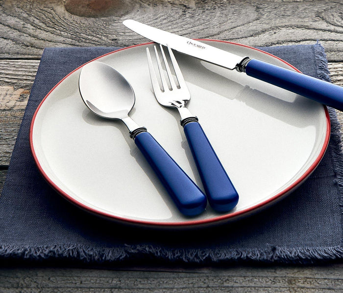Modern Blue handle flatware set with Caddy